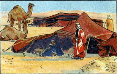 Campement bédouin, 1936